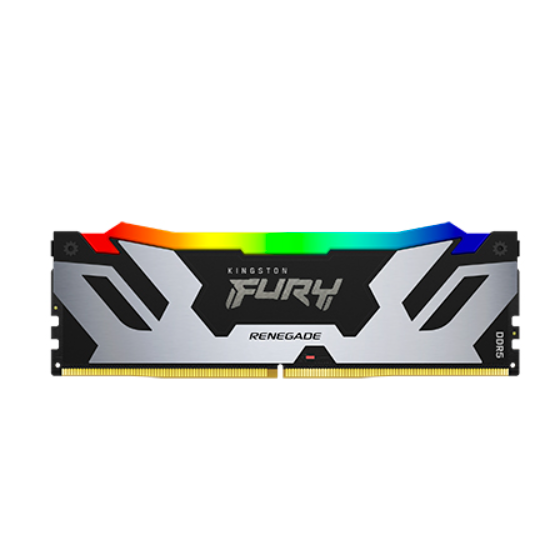 kingston/金士顿 Renegade DDR5 RGB 内存