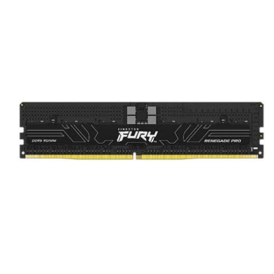 kingston/金士顿 Renegade Pro DDR5 RDIMM 内存