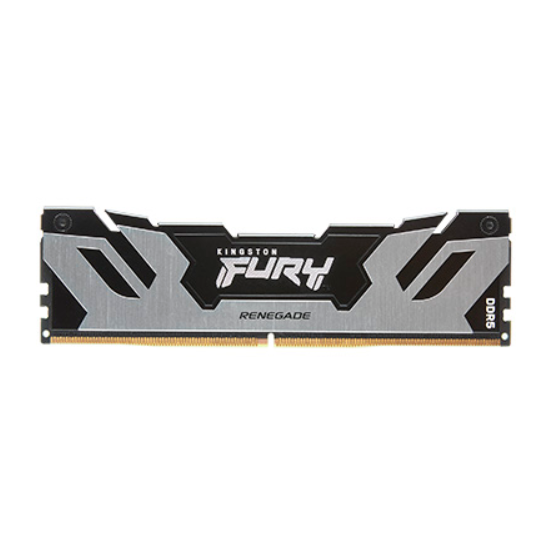 kingston/金士顿 Renegade DDR5 内存