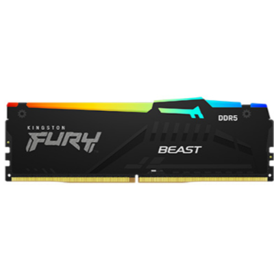 kingston/金士顿 Beast DDR5 RGB 内存