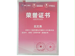 第十三届中国电子商务十大牛商评选“百强牛商”