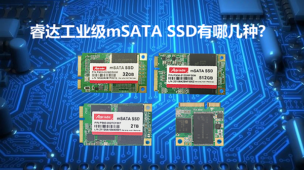 Agrade睿达工业级mSATA SSD有哪几种？