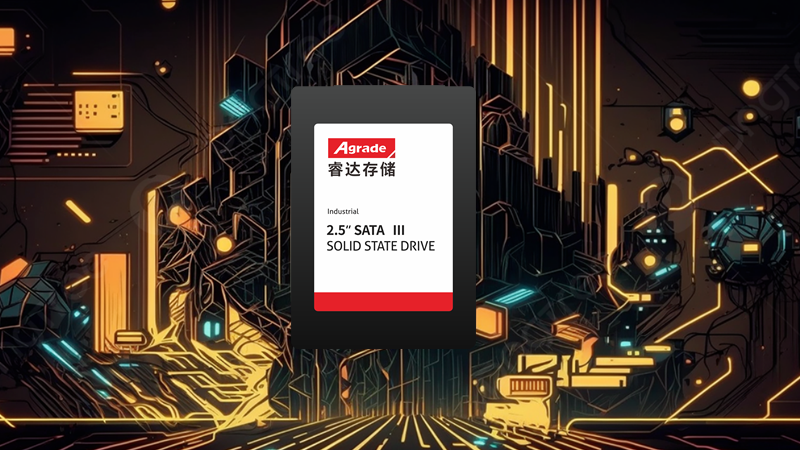 SSD20250225