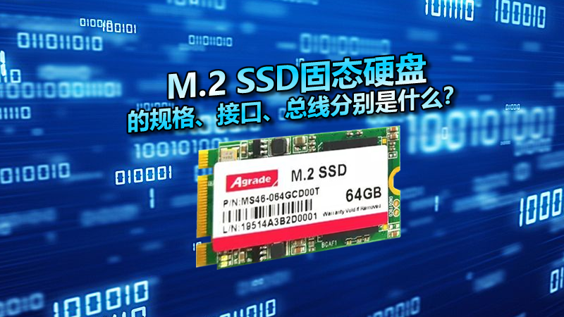 M.2 SSD固态硬盘的规格、接口、总线分别是什么？