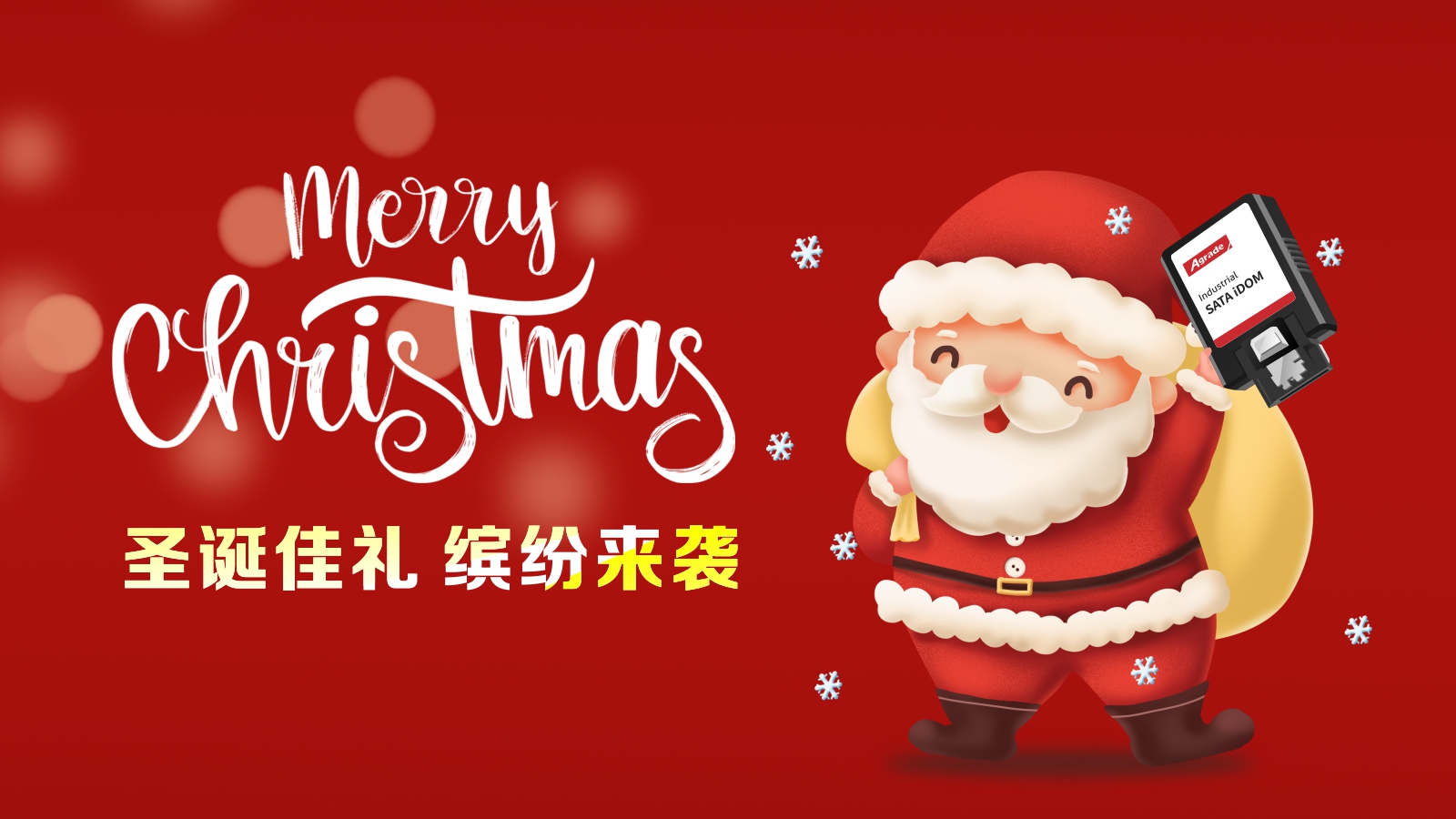 圣诞佳礼，缤纷来袭！